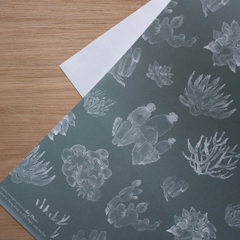 Cactus on eco-paper with soy ink x 3 sheets